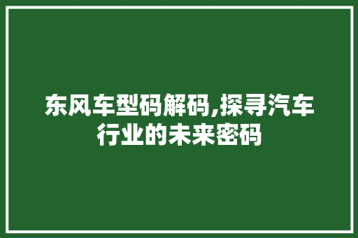 东风车型码解码,探寻汽车行业的未来密码