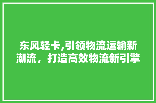 东风轻卡,引领物流运输新潮流，打造高效物流新引擎