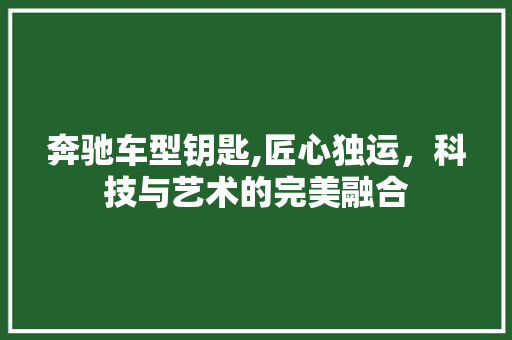 奔驰车型钥匙,匠心独运，科技与艺术的完美融合