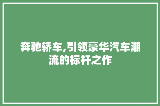 奔驰轿车,引领豪华汽车潮流的标杆之作