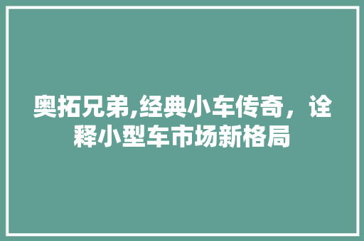 奥拓兄弟,经典小车传奇，诠释小型车市场新格局