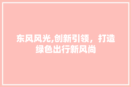 东风风光,创新引领，打造绿色出行新风尚