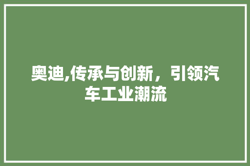 奥迪,传承与创新，引领汽车工业潮流