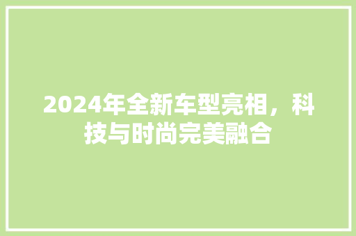 2024年全新车型亮相，科技与时尚完美融合