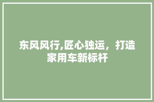 东风风行,匠心独运，打造家用车新标杆