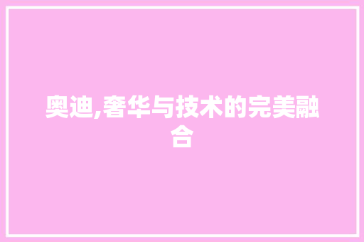 奥迪,奢华与技术的完美融合