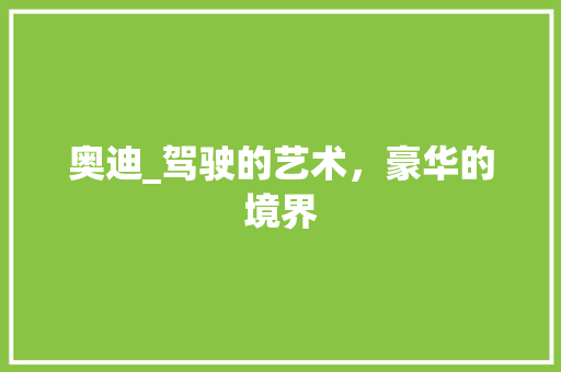 奥迪_驾驶的艺术，豪华的境界