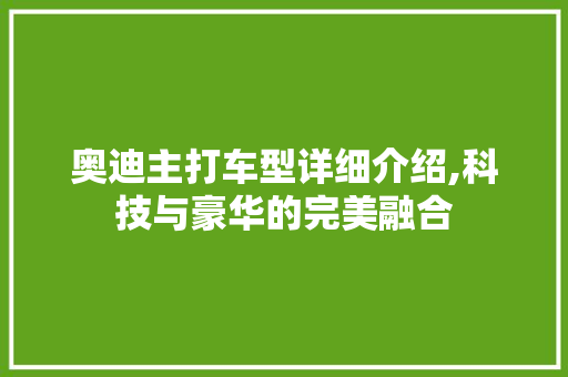 奥迪主打车型详细介绍,科技与豪华的完美融合