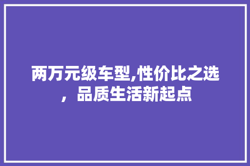 两万元级车型,性价比之选，品质生活新起点