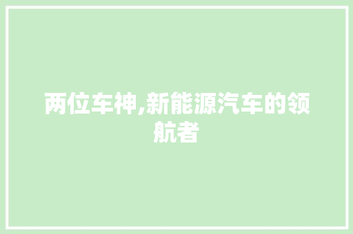 两位车神,新能源汽车的领航者