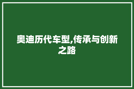 奥迪历代车型,传承与创新之路