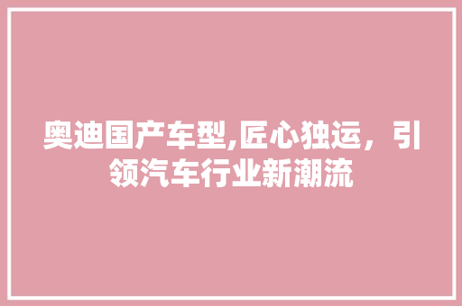 奥迪国产车型,匠心独运，引领汽车行业新潮流