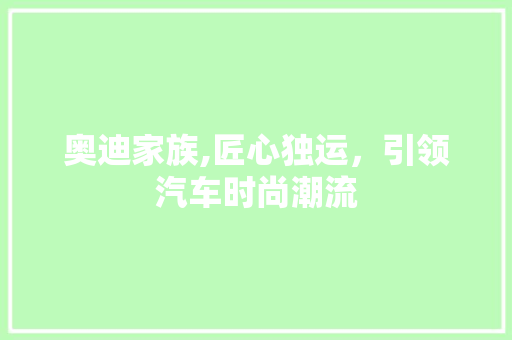 奥迪家族,匠心独运，引领汽车时尚潮流