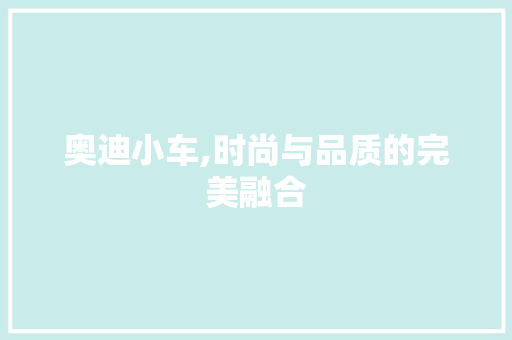 奥迪小车,时尚与品质的完美融合