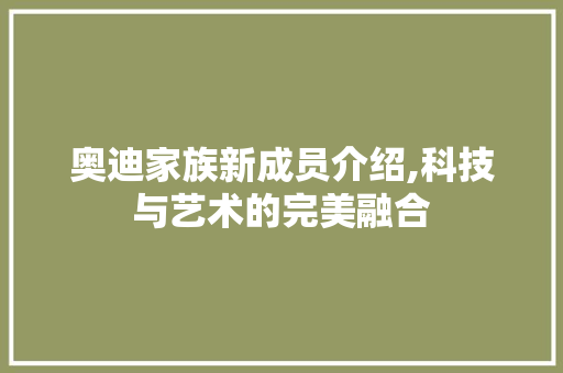 奥迪家族新成员介绍,科技与艺术的完美融合