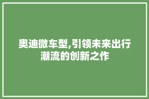 奥迪微车型,引领未来出行潮流的创新之作