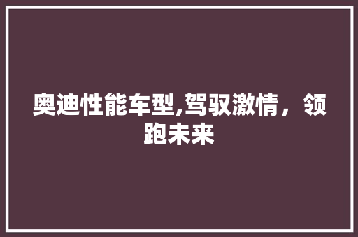 奥迪性能车型,驾驭激情，领跑未来