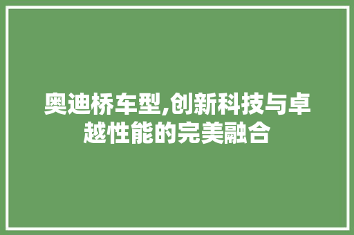 奥迪桥车型,创新科技与卓越性能的完美融合