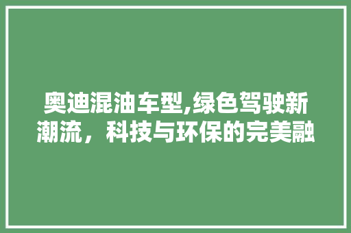 奥迪混油车型,绿色驾驶新潮流，科技与环保的完美融合