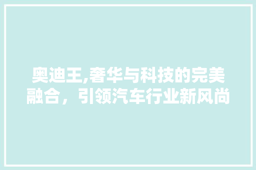 奥迪王,奢华与科技的完美融合，引领汽车行业新风尚