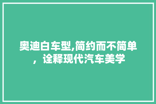 奥迪白车型,简约而不简单，诠释现代汽车美学