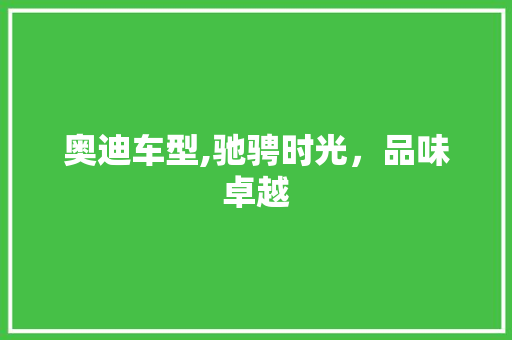 奥迪车型,驰骋时光，品味卓越