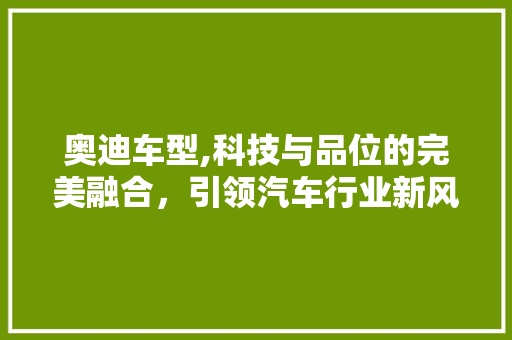 奥迪车型,科技与品位的完美融合，引领汽车行业新风尚