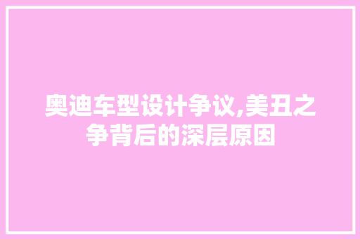 奥迪车型设计争议,美丑之争背后的深层原因