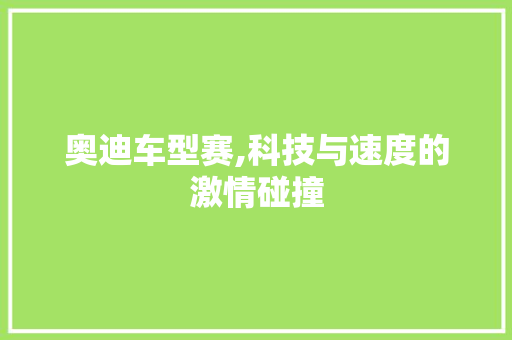 奥迪车型赛,科技与速度的激情碰撞