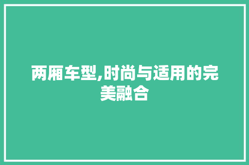 两厢车型,时尚与适用的完美融合
