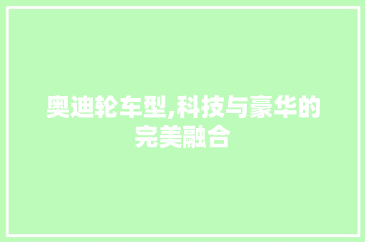 奥迪轮车型,科技与豪华的完美融合