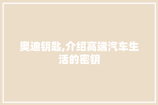 奥迪钥匙,介绍高端汽车生活的密钥
