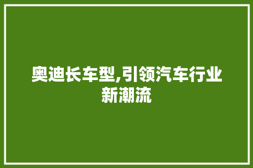 奥迪长车型,引领汽车行业新潮流