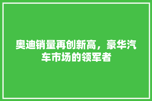 奥迪销量再创新高，豪华汽车市场的领军者