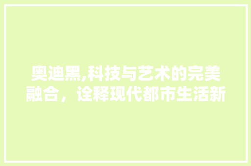 奥迪黑,科技与艺术的完美融合，诠释现代都市生活新风尚