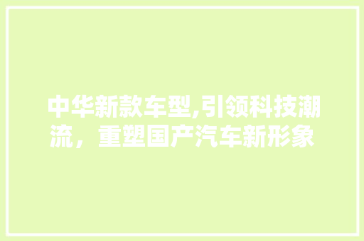 中华新款车型,引领科技潮流，重塑国产汽车新形象