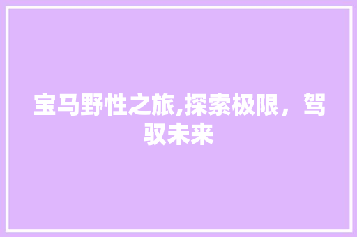 宝马野性之旅,探索极限，驾驭未来