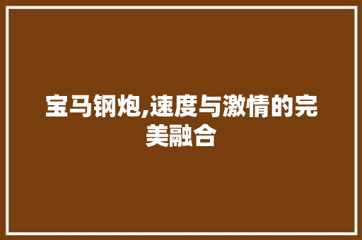 宝马钢炮,速度与激情的完美融合