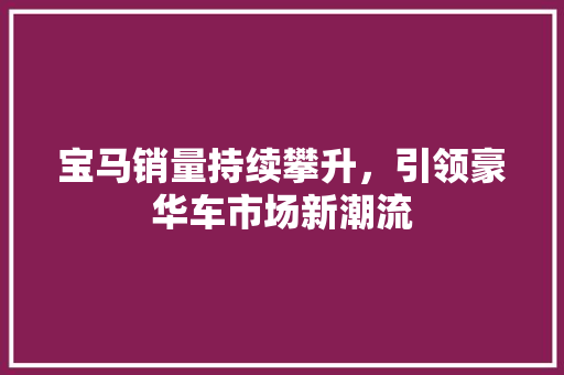 宝马销量持续攀升，引领豪华车市场新潮流