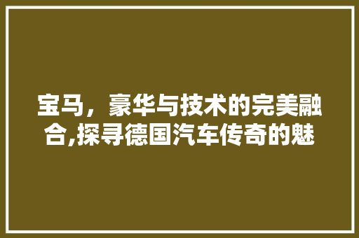 宝马，豪华与技术的完美融合,探寻德国汽车传奇的魅力