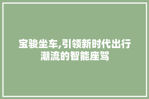 宝骏坐车,引领新时代出行潮流的智能座驾