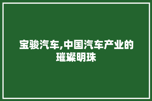 宝骏汽车,中国汽车产业的璀璨明珠