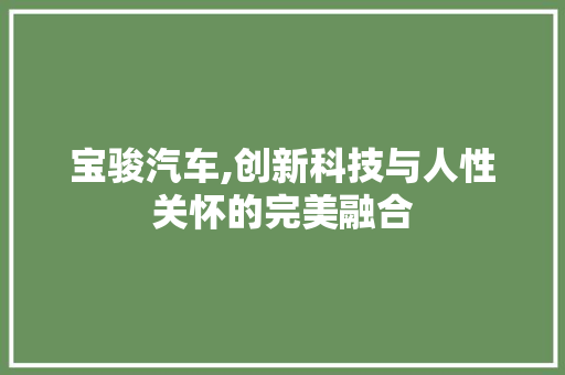宝骏汽车,创新科技与人性关怀的完美融合