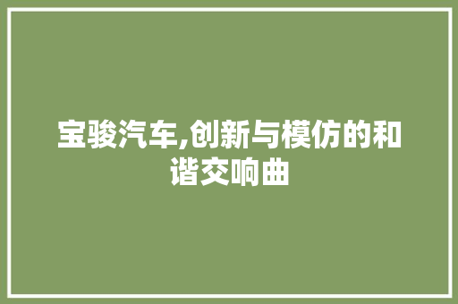 宝骏汽车,创新与模仿的和谐交响曲