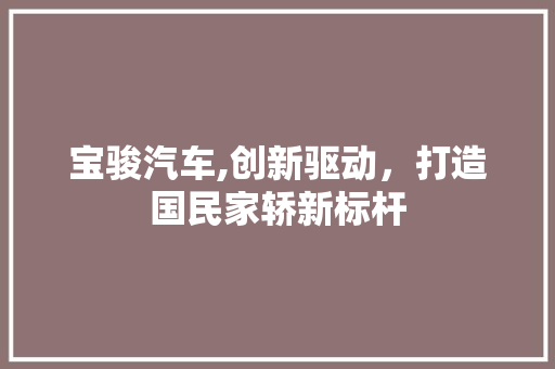 宝骏汽车,创新驱动，打造国民家轿新标杆