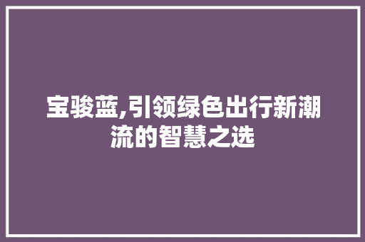 宝骏蓝,引领绿色出行新潮流的智慧之选