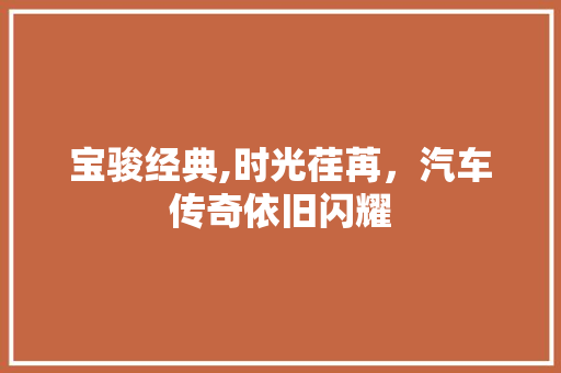 宝骏经典,时光荏苒，汽车传奇依旧闪耀