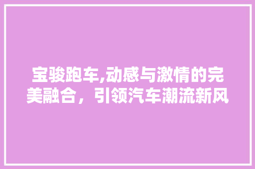 宝骏跑车,动感与激情的完美融合，引领汽车潮流新风尚