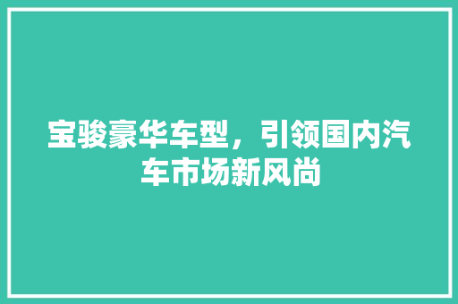 宝骏豪华车型，引领国内汽车市场新风尚