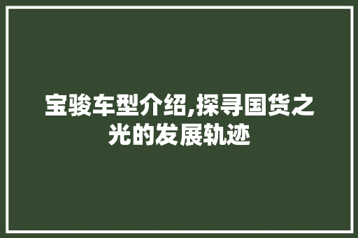 宝骏车型介绍,探寻国货之光的发展轨迹